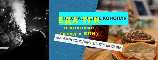 индика Санкт-Петербург