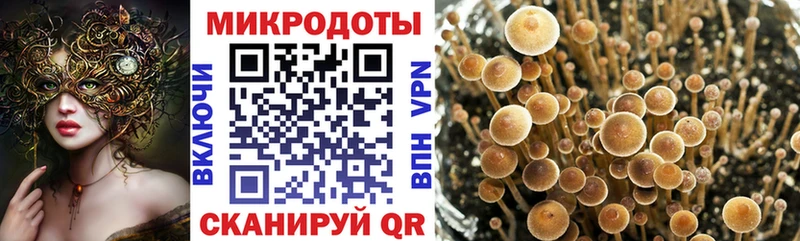 Галлюциногенные грибы мухоморы  Усть-Катав 
